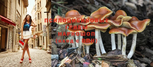 прущая мука Арсеньев