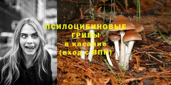 мдпв Пересвет