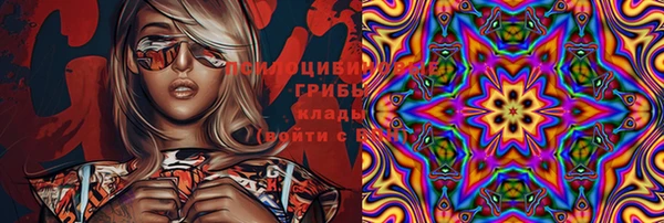 прущая мука Арсеньев