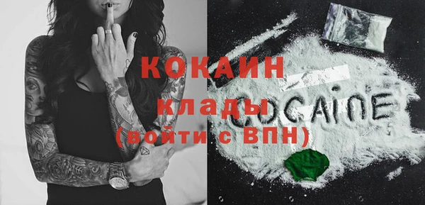 мдпв Пересвет