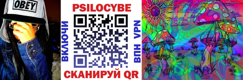Галлюциногенные грибы MAGIC MUSHROOMS Багратионовск